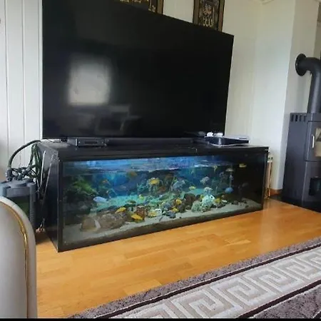 Apartman Flora *